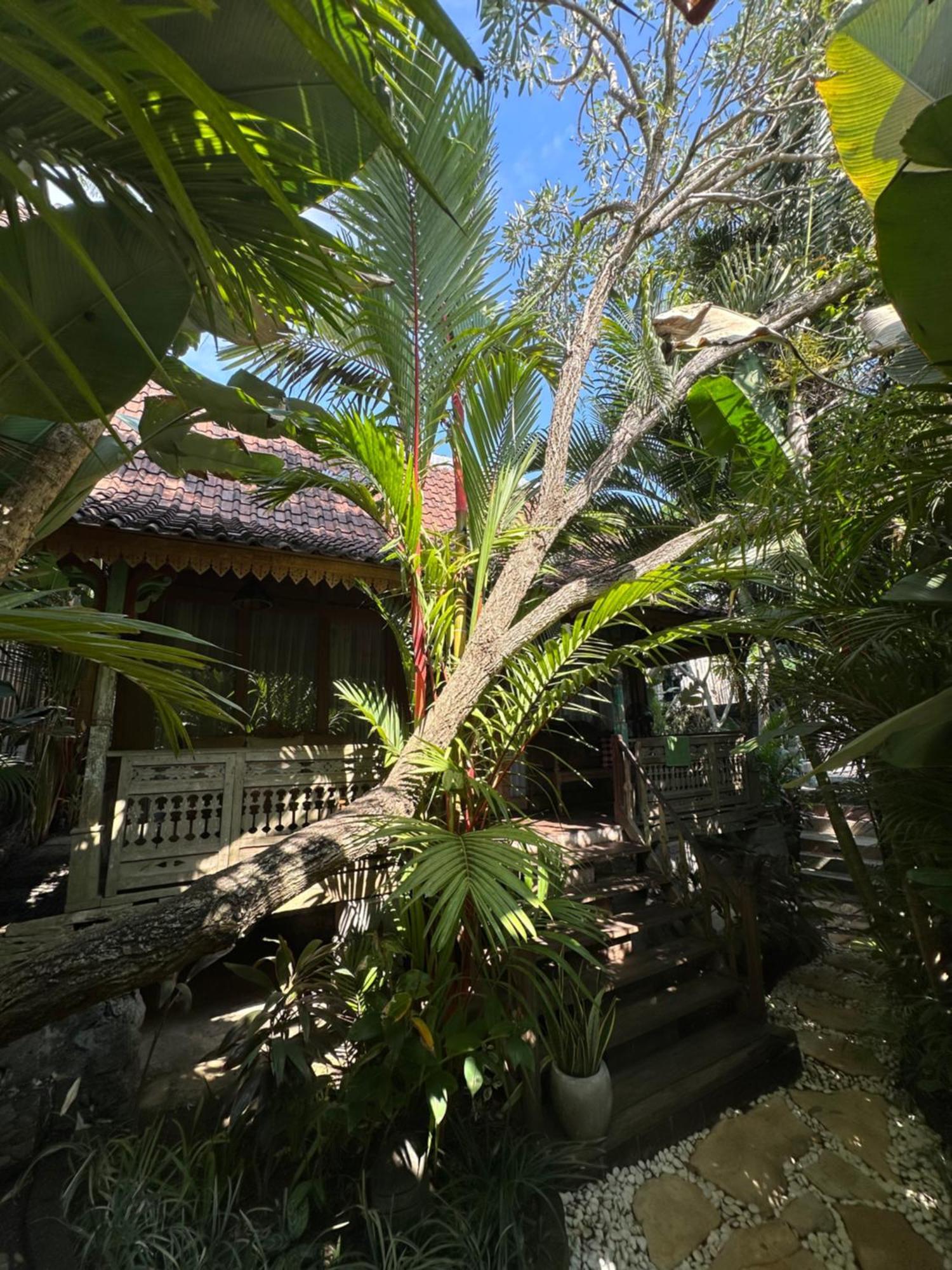 Umakayu Joglo Villa Canggu - Boutique Hotel Esterno foto